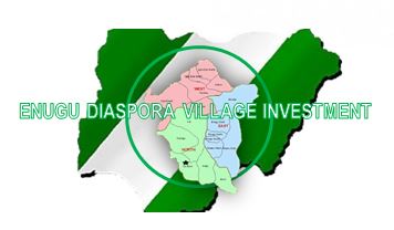 Enugu diaspora village investment project