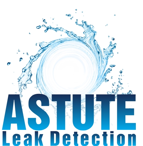 Water Leak Detection Gold Coast Brisbane Tweed Heads 