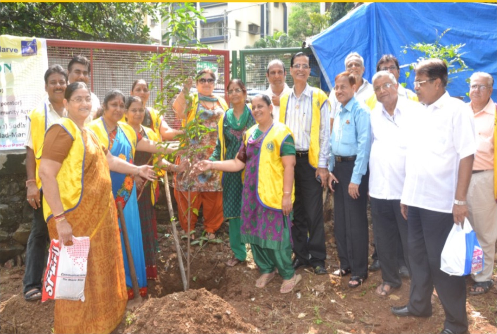 Go Green - Plantation