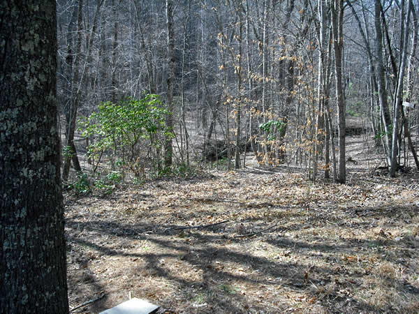 Homestead 2 - Hunting Tract for Lease