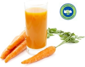 Organic Carrot Concentrate