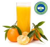 Organic Mandarin Juice Concentrate