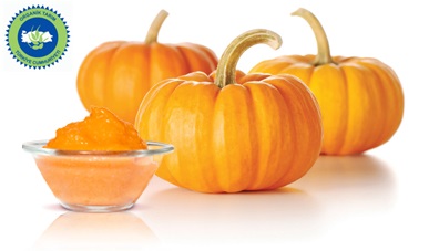 Organic Pumpkin Puree