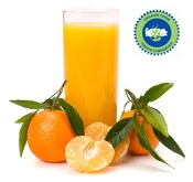 Organic Tangerine Juice Concentrate