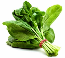 spinach pulp