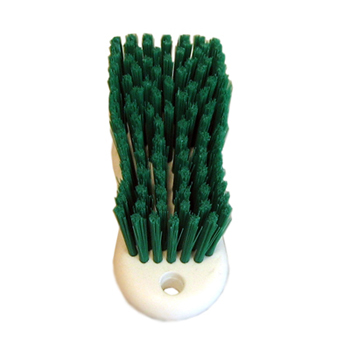Poly Pro Scrub Brush