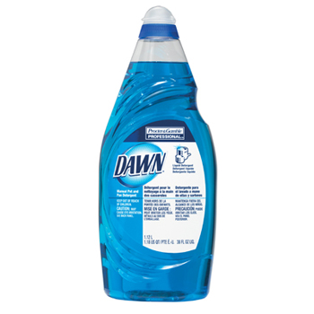 DAWN* Dishwashing Liquid