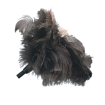 Feather Duster