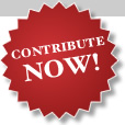 Contribution to Development Program of freeee foundation
