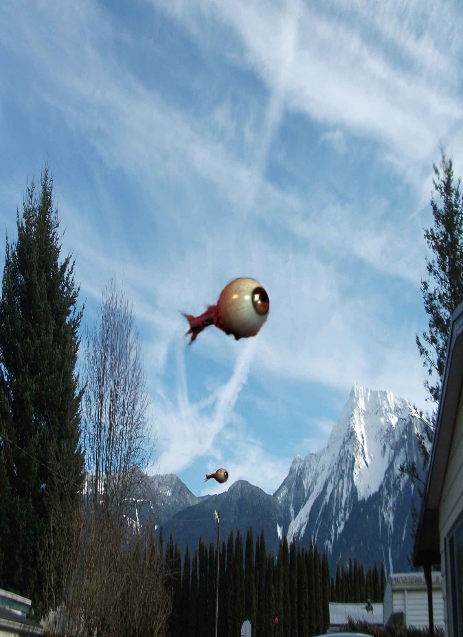 3D,Digital Painting