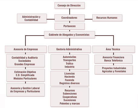 organigrama