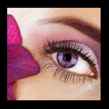Beauty & Bliss Makeup Secrets 