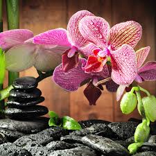 Beauty & Bliss Luxury spa decor