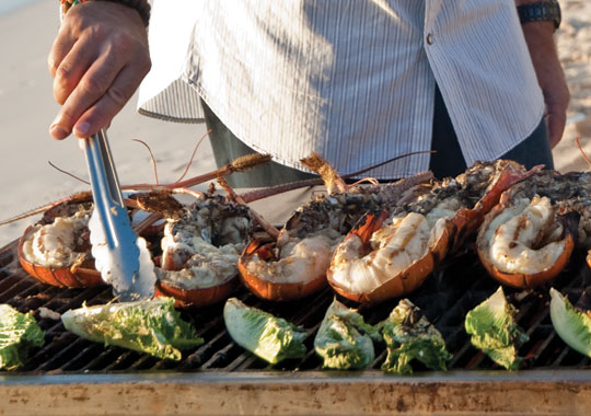 Great Lobster Recipes