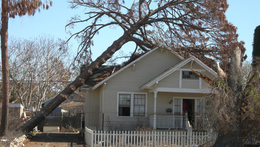 nationwide-public-claims-adjuster.com 