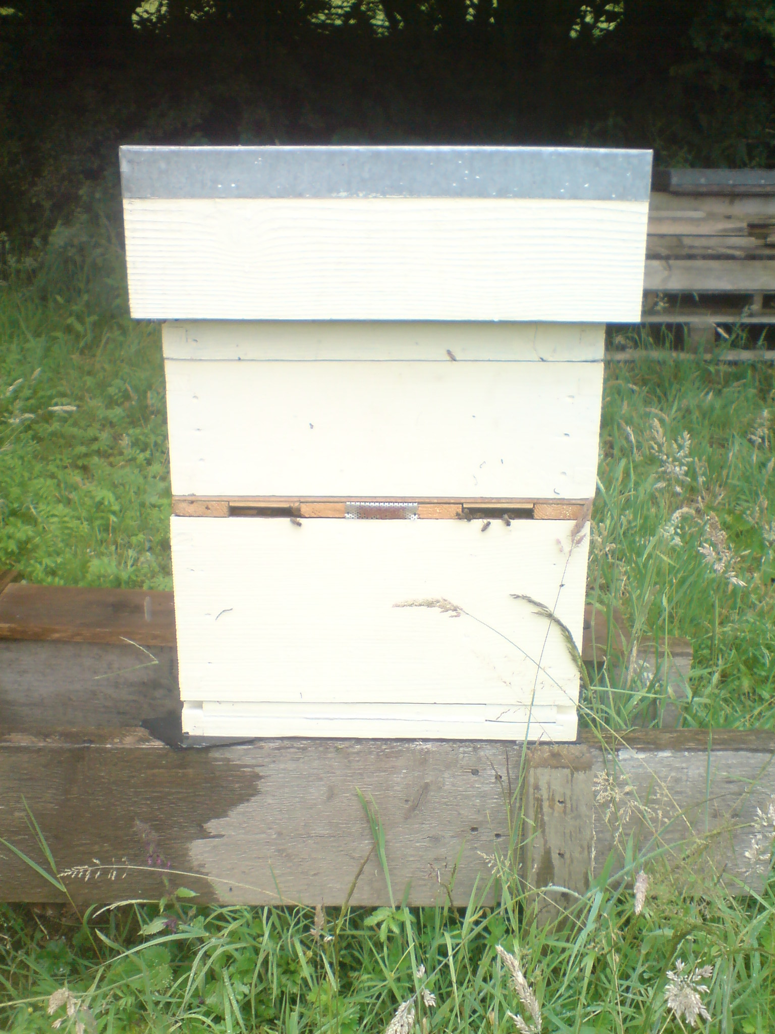 Image description