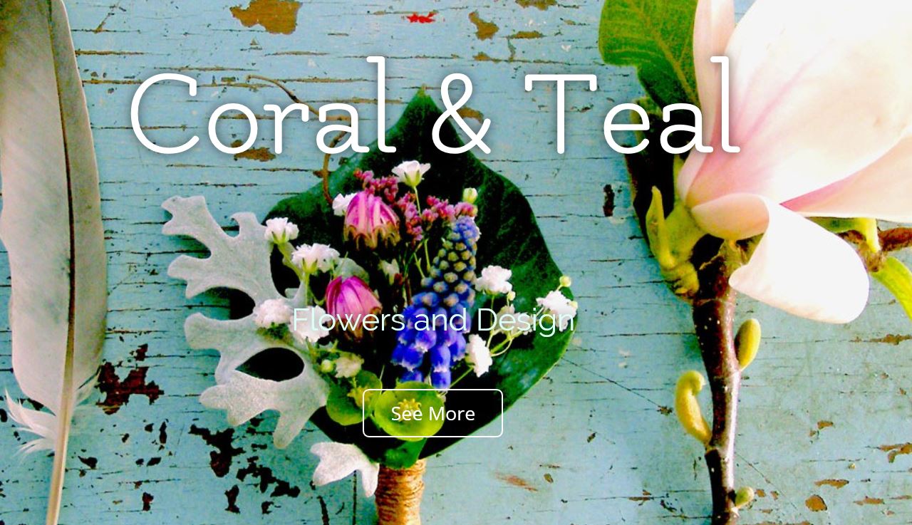 Rhona H recommends Coral and Teal
