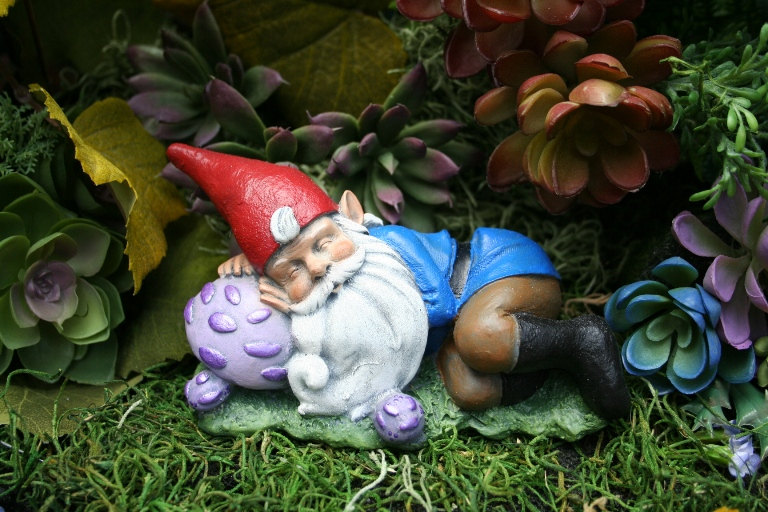 The content gardener