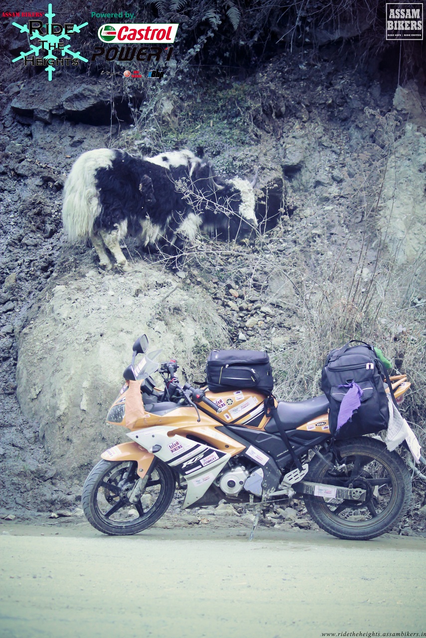 Image description