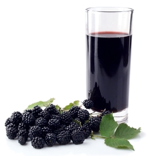 blackberry juice production machinery