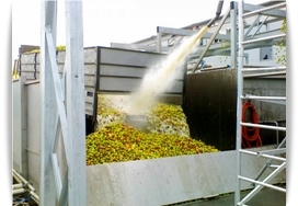fruit discharge systems