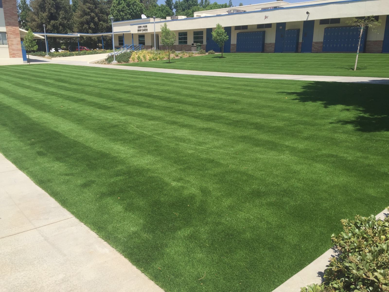 Contact | Tri County Turf | Synthetic Grass Installation