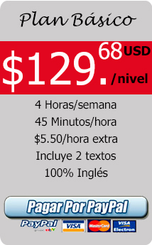 Descripción de la imagen