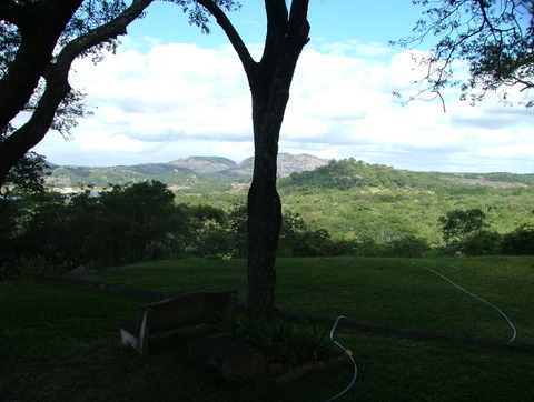 Image description