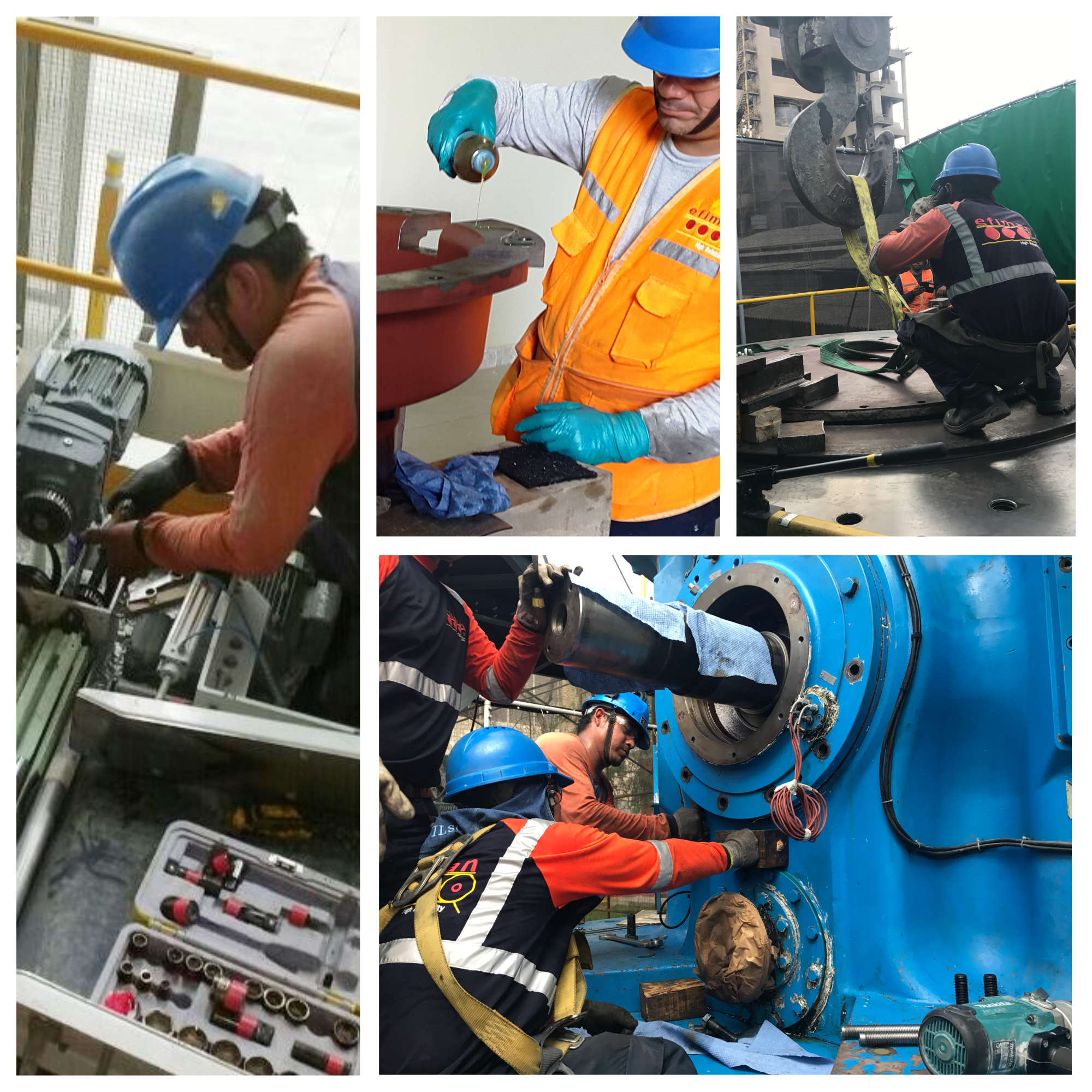 Descripción de la imagen