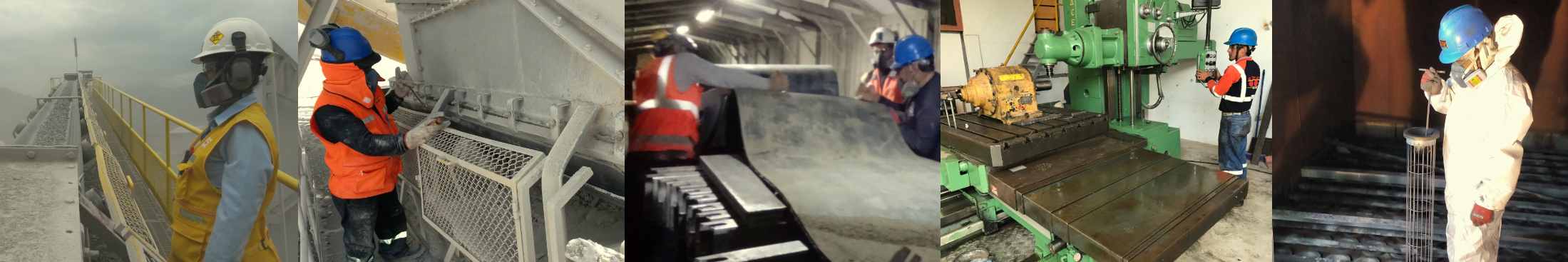 Descripción de la imagen