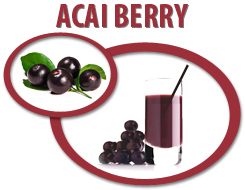 acai berry juice concentrate usa