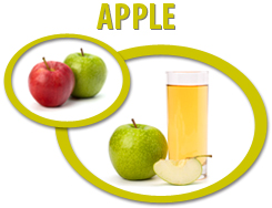 apple juice concentrate usa