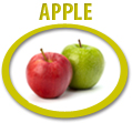 apple juice concentrate usa