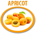 apricot concentrate usa