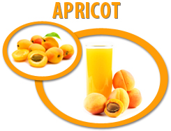 apricot juice concentrate usa