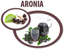 aronia concentrate usa