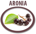 aronia concentrate usa