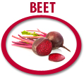 beet concentrate usa