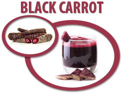 black carrot concentrate usa