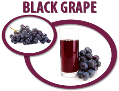 black grape concentrate usa