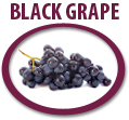 black grape concentrate usa