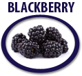 blackberry concentrate usa