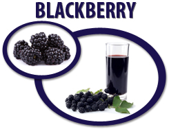 blackberry juice concentrate usa