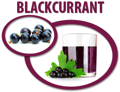 blackcurrant concentrate usa