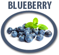 blueberry concentrate usa