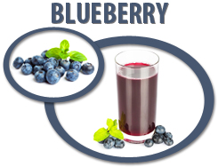 blueberry juice concentrate usa