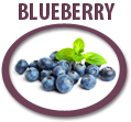 blueberry juice concentrate usa