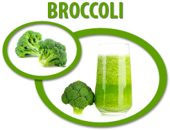 broccoli concentrate usa