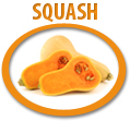 squash concentrate usa