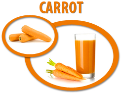 carrot concentrate usa